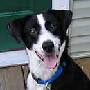 Tobias was adopted in November, 2005